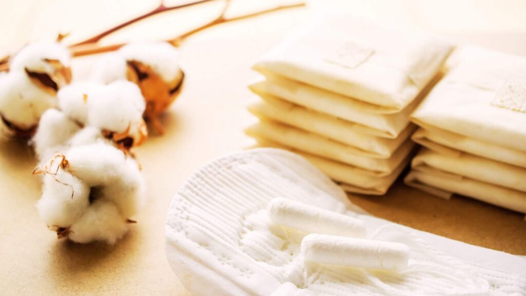 Alternativen zu Tampon, Binden. Periodenunterwäsche günstiger, nachhaltig, Umweltbewusst, gesünder